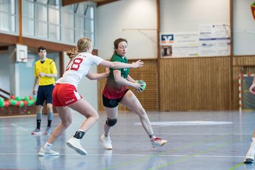 Bild 213 - F HSG Kremperheide/Muensterdorf - Slesvig IF 2 : Ergebnis: 30:26